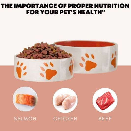"The Importance of Proper Nutrition for Your Pet's Health"