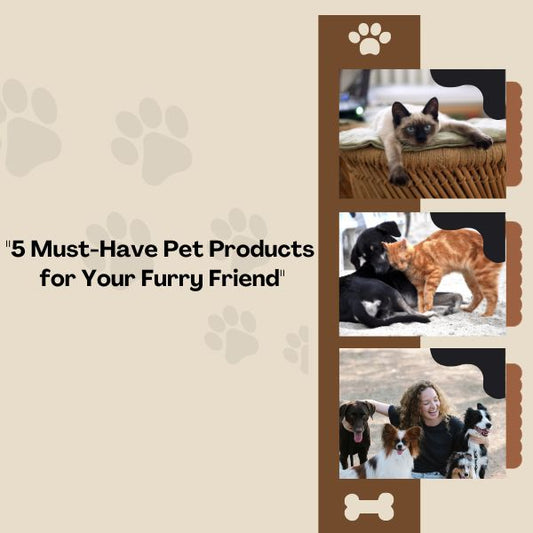 "5 Must-Have Pet Products for Your Furry Friend"