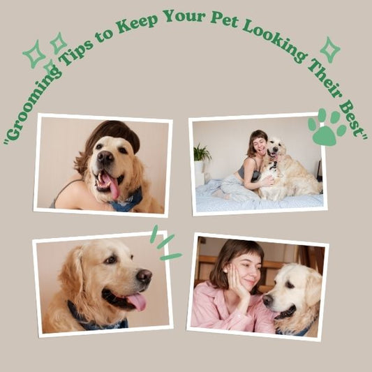 "Grooming Tips to Keep Your Pet Looking Their Best"