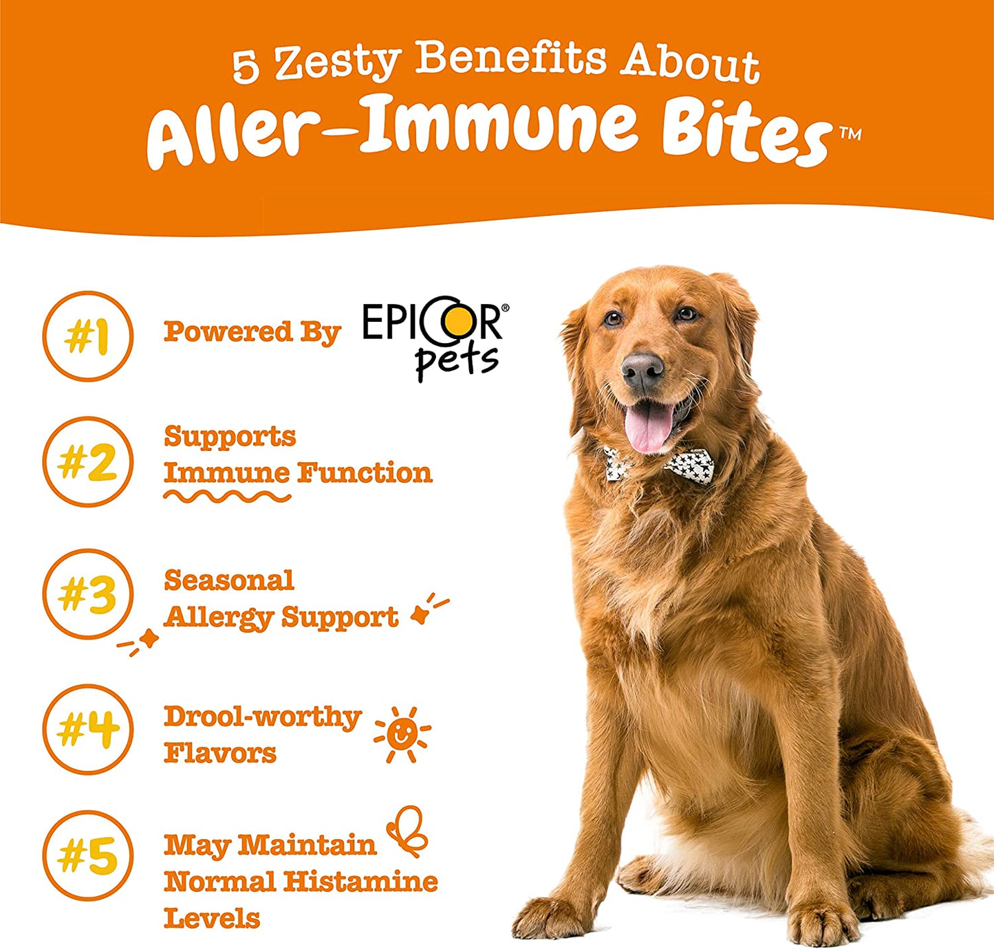 Zesty Paws Probiotics for Dogs - Digestive Enzymes for Gut Flora, Digestive Health