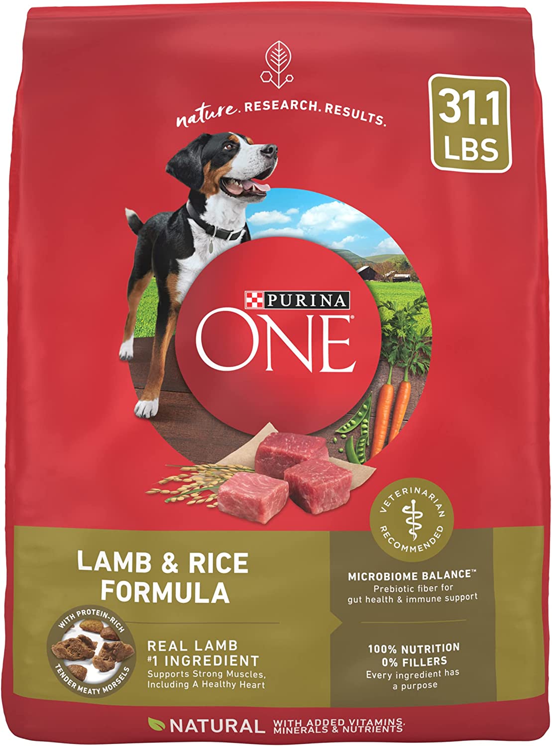 Purina ONE Dry Dog Food Lamb and Rice Formula - 31.1 lb. Bag