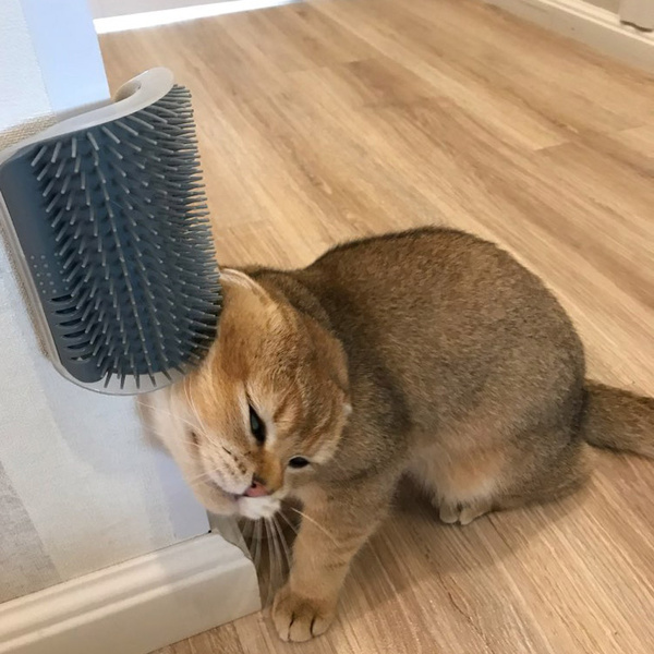 Cat Self-Grooming Brush Wall Rubbing